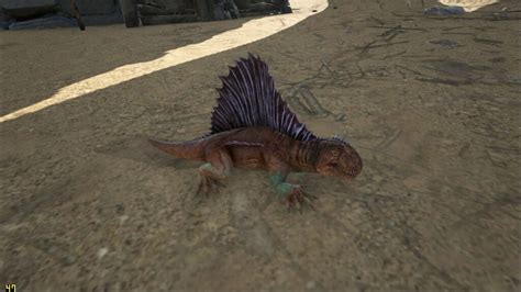 Ark Dimetrodon Z Hmen F Ttern Z Chten So Gehts