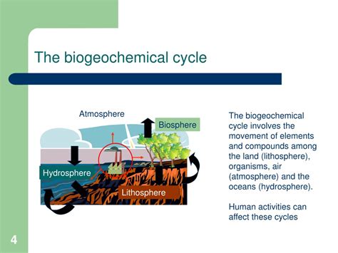 Ppt Lesson The Biogeochemical Cycle Chemical Oceanography