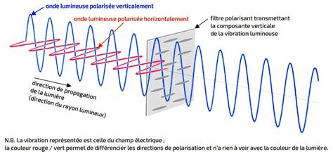 La Polarisation De La Lumi Re Mainguet Jean Fran Ois