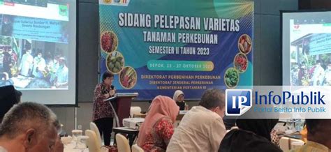 InfoPublik BRIN Dan Mitra Hasilkan 4 Varietas Baru Pinang Tembakau