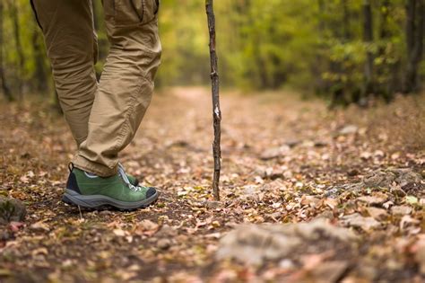 Esce Per Fare Trekking Ma Non Rientra A Casa Enne Trovato Morto Nel