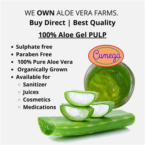 Aloe Vera Pulp At Best Price In India