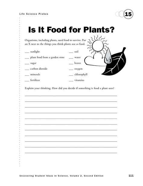Is It Food for Plants? | NSTA