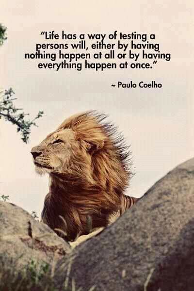 Quotes By Paulo Coelho