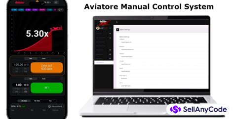 Aviator Game Manual Control Source Code With Complete Setup Aviator