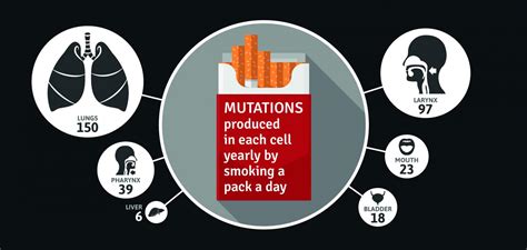 Mutation Types In Diverse Cancers Associated Eurekalert