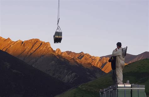 Alpine Honey – Pure New Zealand Honey
