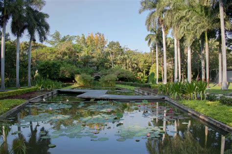 Jardín Botánico de Culiacán; un oasis de plantas y arte