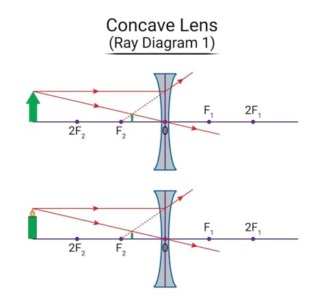 Diagrama de rayos de lentes cóncavos 1 Vector Premium