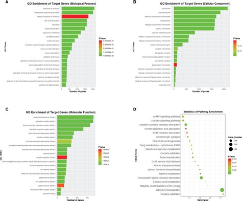 Frontiers Whole Genome Transcriptomic Analysis Of Ovary Granulosa Cells Revealed An Anti