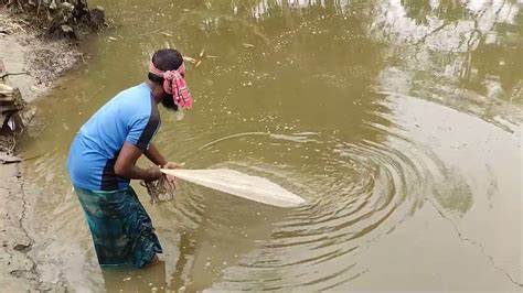 Net Fishing Ll Fish Catching Using By Cast Net In The Village Pond