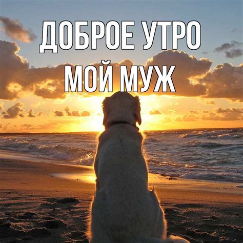 Красивые картинки - Доброе утро, муж! (62 фото)