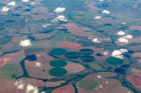 Brazil’s produce ‘fundamental for guaranteeing China’s food security’