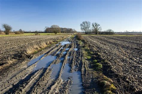 Muddy Road With Mud And Puddles In The Field Stock Photo Image Of