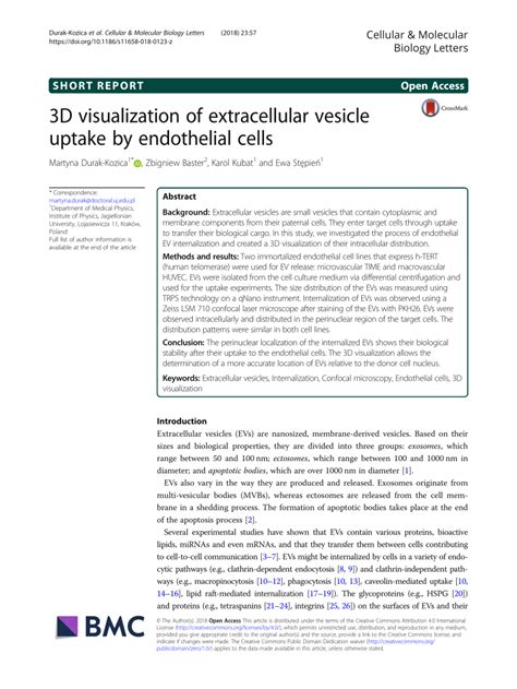 (PDF) 3D visualization of extracellular vesicle uptake by endothelial cells 