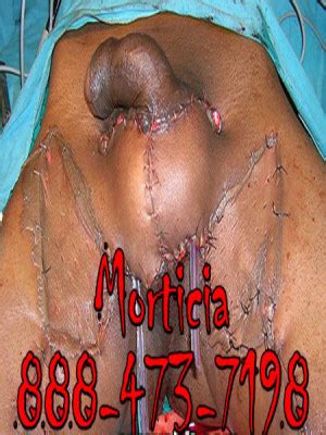 Vintage Gay Porn Star Shawn Michaels Hotnupics
