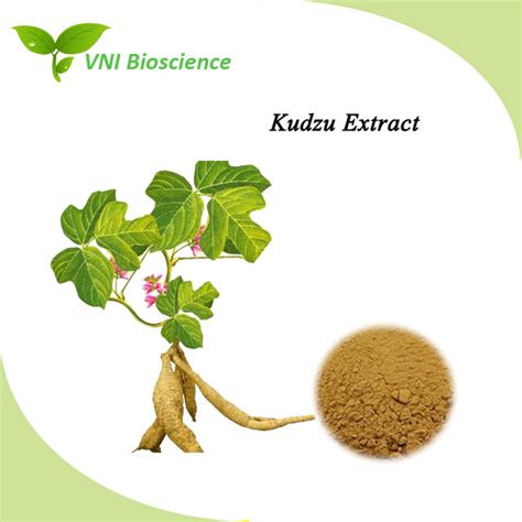 ISO Certified100 Natural Puerarin Powder Kudzu Root Extract China