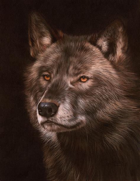 Black Wolf Painting By David Stribbling Pixels