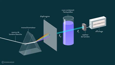 Absorbance Et Spectre Dabsorption Cours Re Physique Chimie