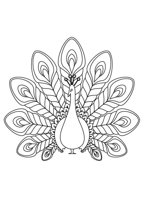 Dibujos De Pavo Real Para Colorear E Imprimir ColoringOnly