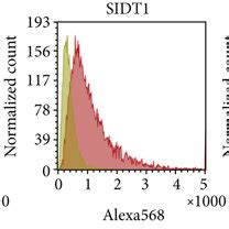 Subcellular Location Of Incorporated Naked A After Hour Culture