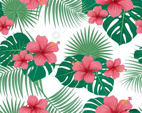 Seamless Pattern Of Tropical Floral And Leaves On White Background