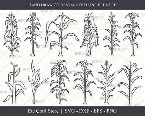 Corn Stalk SVG Corn Stalk Outline Corn Tree Svg Corn Svg Etsy Canada