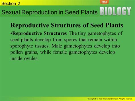 Plant Reproduction Section 1 Sexual Reproduction In Seedless Plants