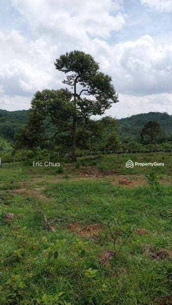 Acres Agriculture Land At Tronoh Jalan Baru Tronoh Batu Gajah