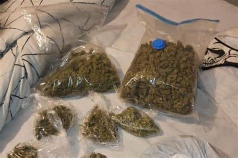 Man Arrested After Large Amount Of Harvested And Dried Out Cannabis Discovered During