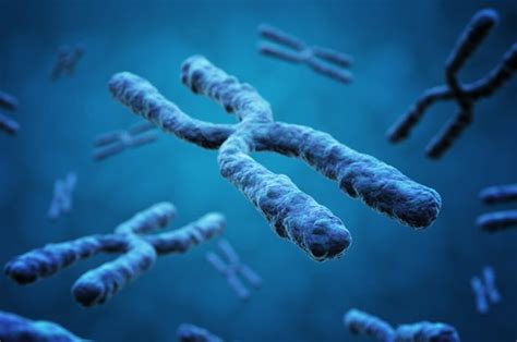 Longevity.Technology 