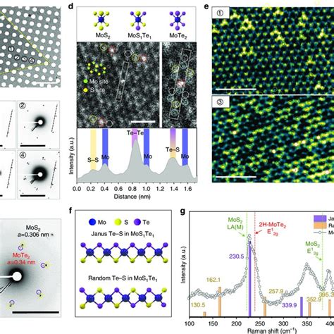 Formation Of Mos2 Mote2 Lateral Junction And Ws2−xtex Alloy A Download Scientific Diagram