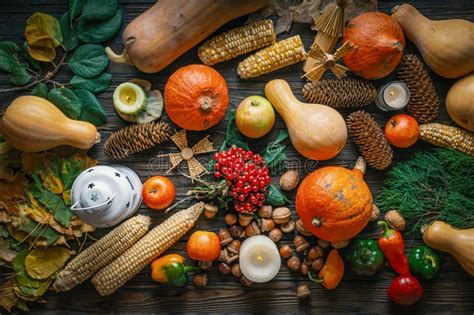 Harvest Farm Farm Pumpkins Fresh Harvest Orange Pumpkins Happy