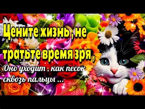 🌞💗🥀Доброго утра 🥀🌈 благословенного дня! 🌞Красивая музыкальная открытка🌈 ...
