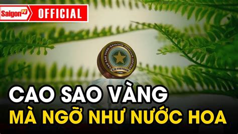 Qu Ng C O Cao Sao V Ng Nga B T Ng Hot Tr L I V H Nh Nh C C