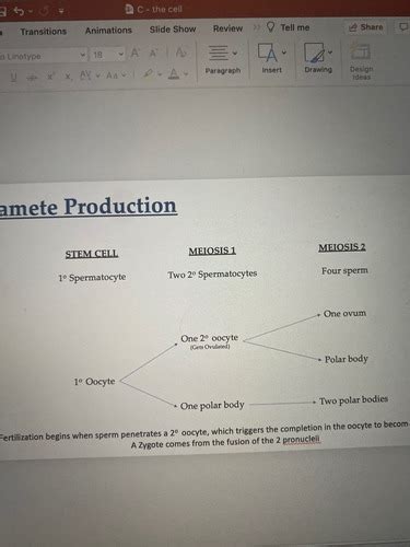 Midterm Flashcards Quizlet