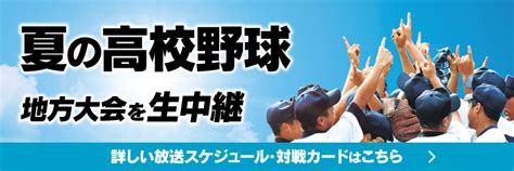 高校野球とコールドゲーム：ルールと点差・コールドゲームがない理由について｜jcom高校野球観戦ナビ