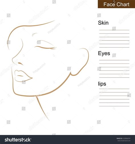 Face Chart Makeup Artist Blank Stock Vector Shutterstock