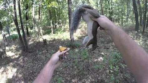 Slingshot Hunting Mooching Squirrels YouTube