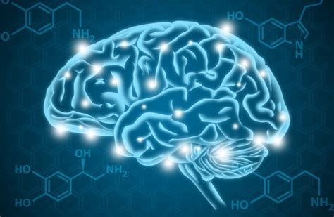 Serotonina O Que E Quais As Fun Es No Corpo Humano