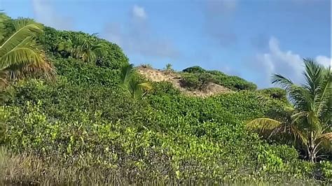 Vidéos es ver page 9 XVIDEOS