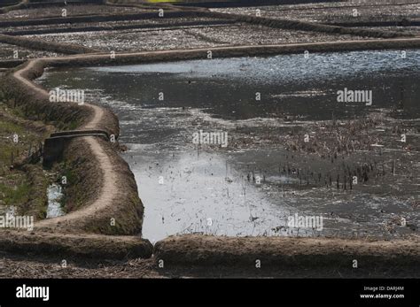 Arunachal Hi Res Stock Photography And Images Alamy