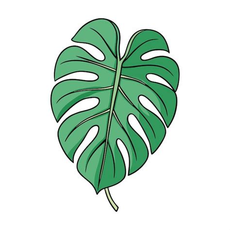 A Drawing Of A Green Leaf With White Lines On It Premium Ai Generated