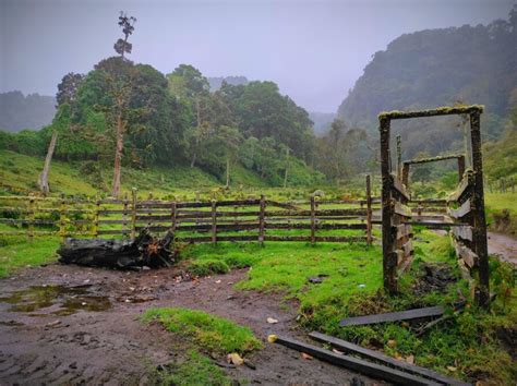 Explorando el Significado de las Tierras Altas en Panamá Un Vistazo al