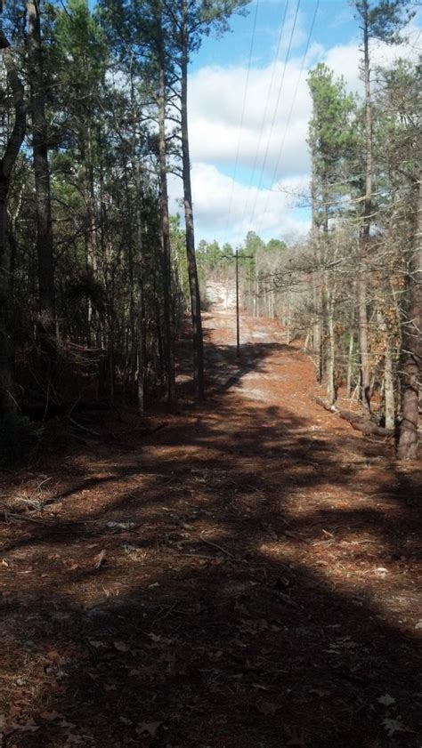 Sesquicentennial State Park Mountain Bike Trail in Columbia, South ...