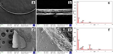 SEM EDX Images And Microanalysis From Canonical Microplastic SEM