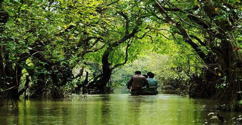 Popular Tourist Spots In Sylhet