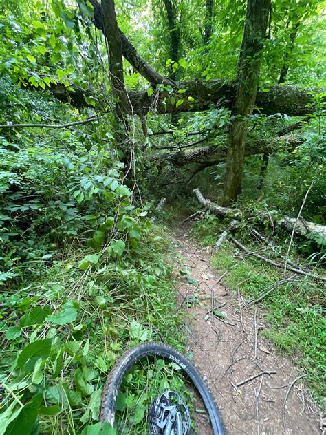 Chickasaw Trace County Park Columbia Mountain Biking Trails Trailforks