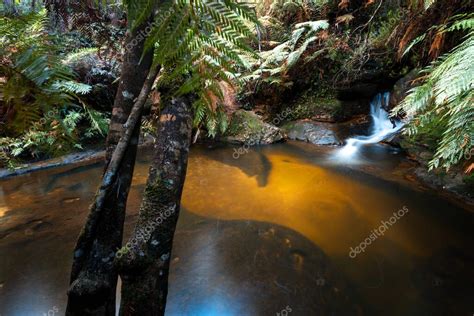 Cascada Id Lica Y Pozo De Nataci N Aislado En Blue Mountains Australia