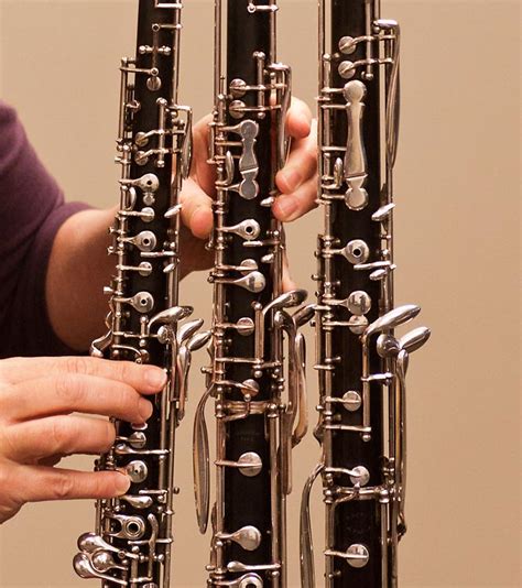 Oboe English Horn And Bass Oboe Oboeinsight